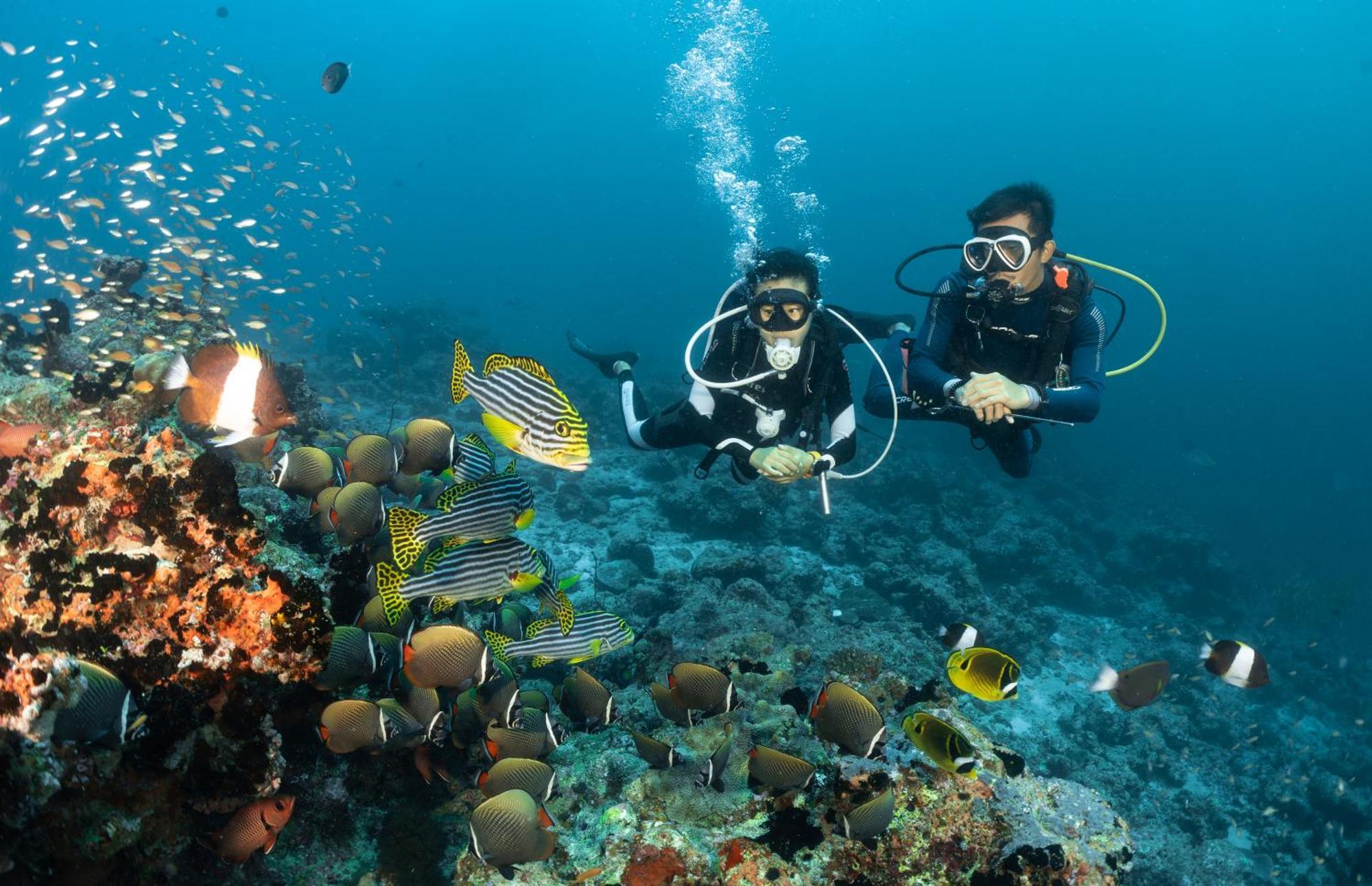 Bandos Maldives - One Way Transfer Free For Stays From 1St May Till 30Th Sept 2025 For Bookings From 16 Apr 2025 Bandos Island Extérieur photo